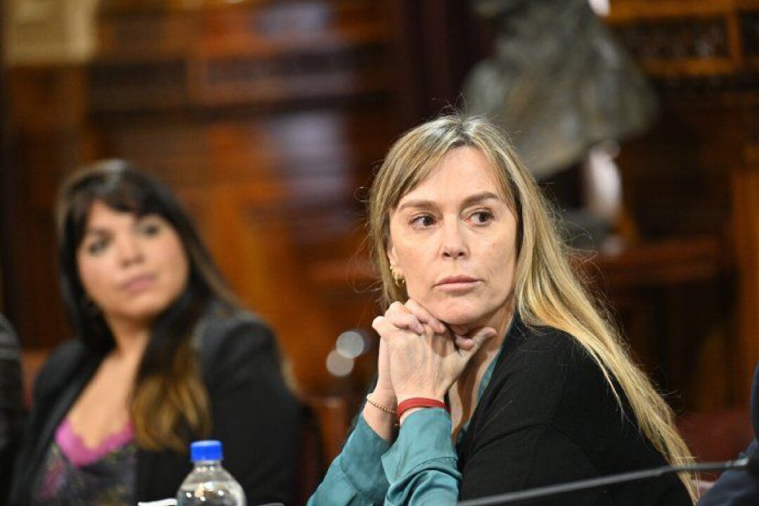 Di Tullio: "El espíritu de este fondo para pagarle al FMI es que paguen los que siempre se benefician y no el pueblo"