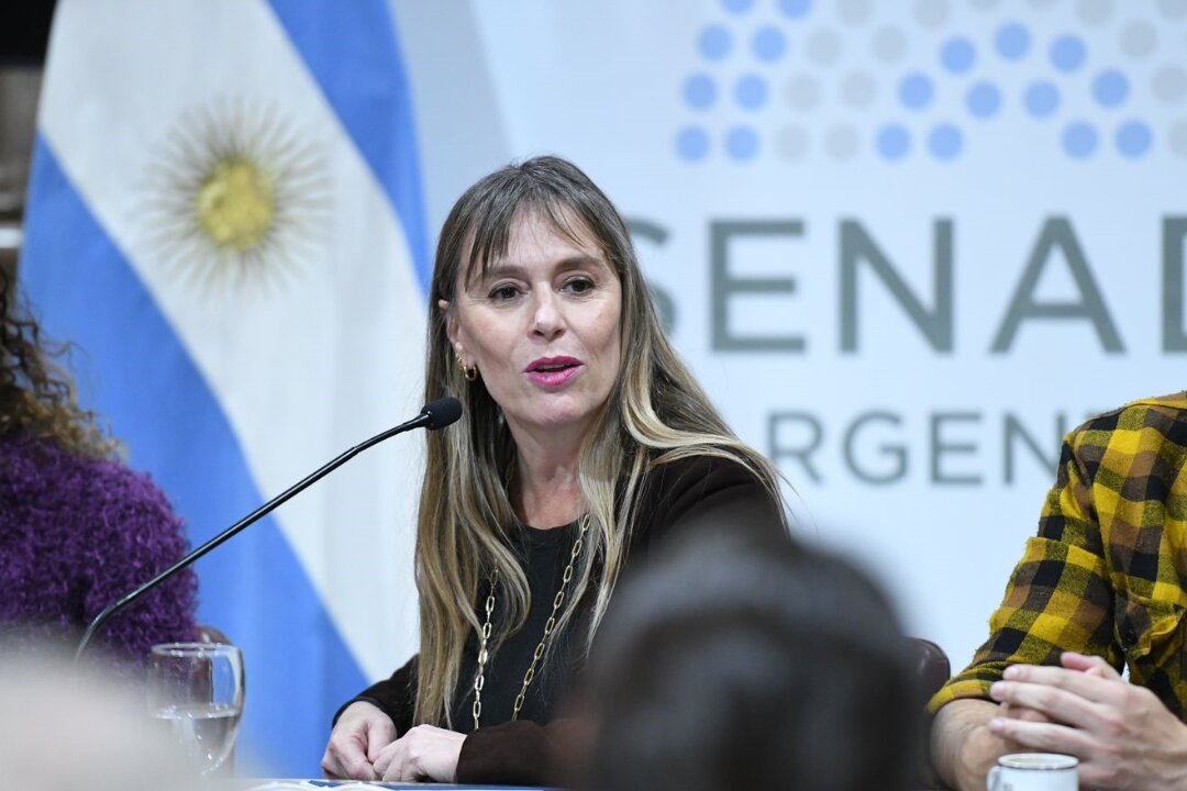 Di Tullio presentó Programa Escudo: Un proyecto de ley para la provisión gratuita de repelentes y protectores solares en las escuelas públicas de todo el país