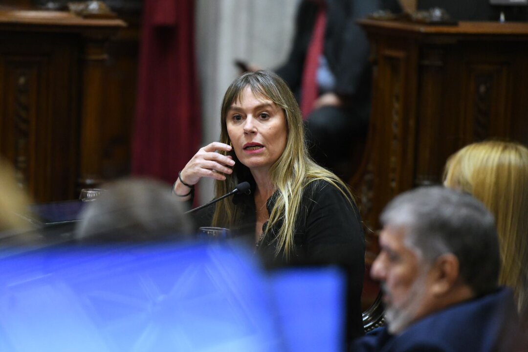 Juliana di Tullio: “Este es un golpe institucional”