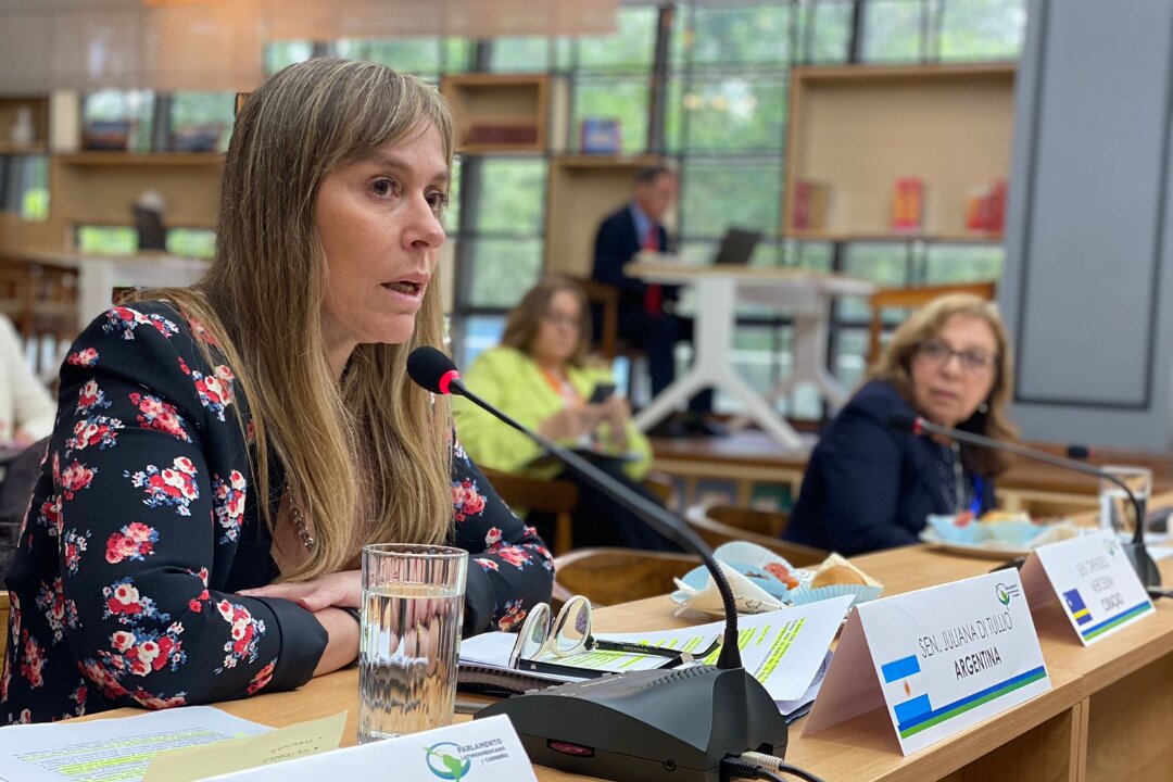 Di Tullio: “Creo en un candidato de consenso que represente a todo este enorme espacio”