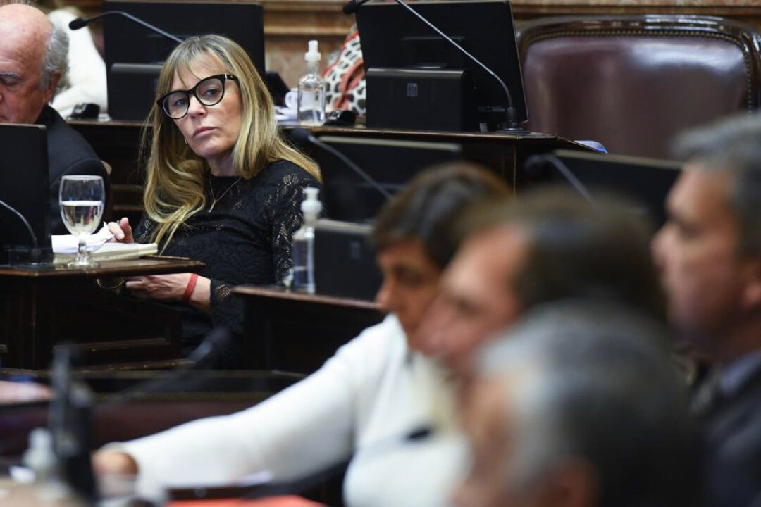 Di Tullio: "El pueblo argentino tiene que reaccionar en defensa propia porque los dirigentes y dirigentes reaccionan bastante lento"