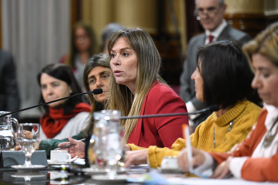 Juliana di Tullio: "Cualquier peronista quiere que gane Sergio Massa"