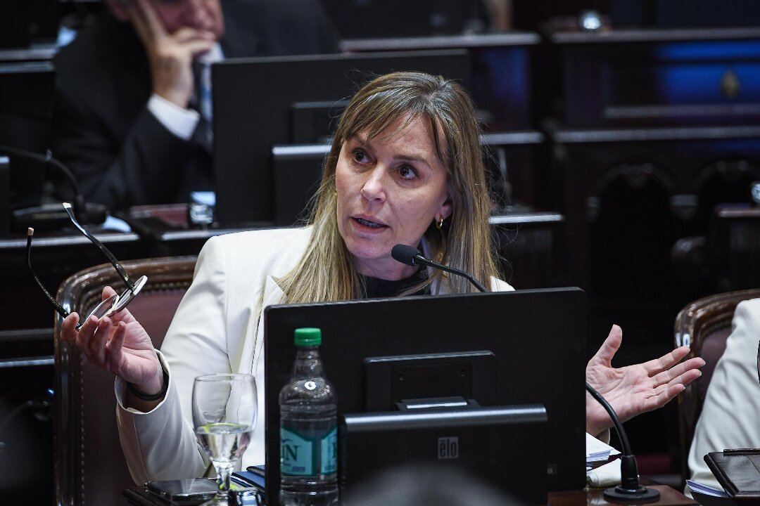 Di Tullio y Doñate solicitaron acceso a la información sobre los bonos BOPREAL que estatizan la deuda privada