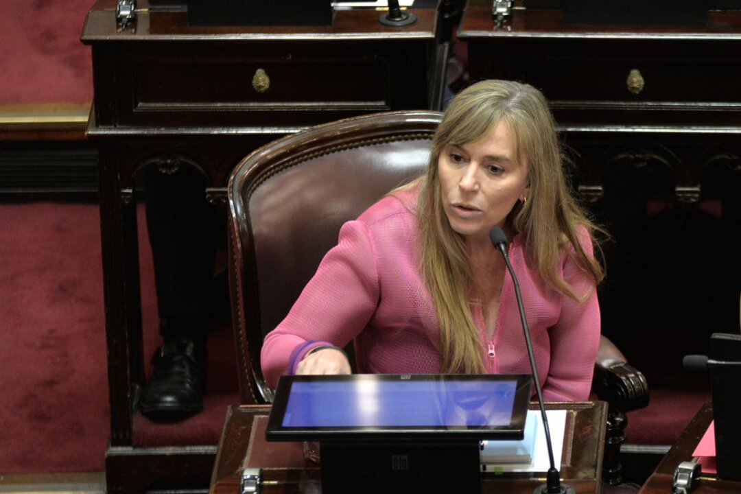 Di Tullio: “El Presidente puede eliminar el Fondo de Fortalecimiento Fiscal porque el DNU 70/23 está vigente, tenemos que derogarlo”