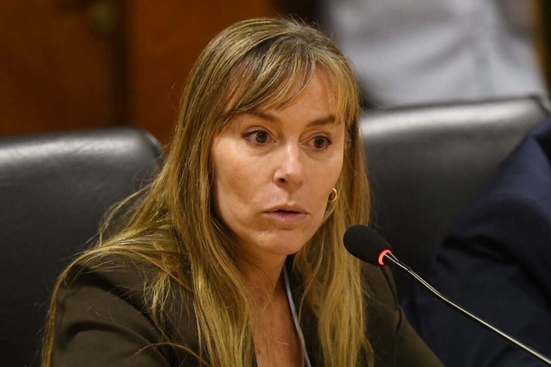 AVANCES EN LA CAUSA TÉLAM: la Justicia intimó al Poder Ejecutivo a brindar informes de su cierre por una demanda iniciada por la senadora Di Tullio