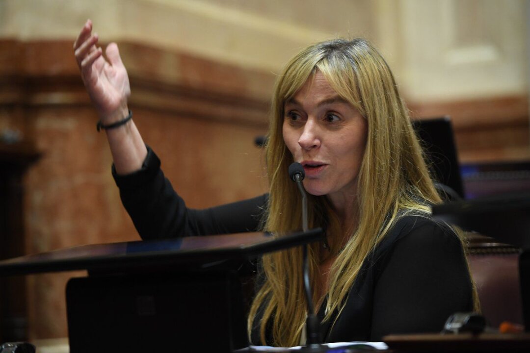 Di Tullio: “Los argentinos y argentinas tenemos derecho a saber qué pasó en el G20”