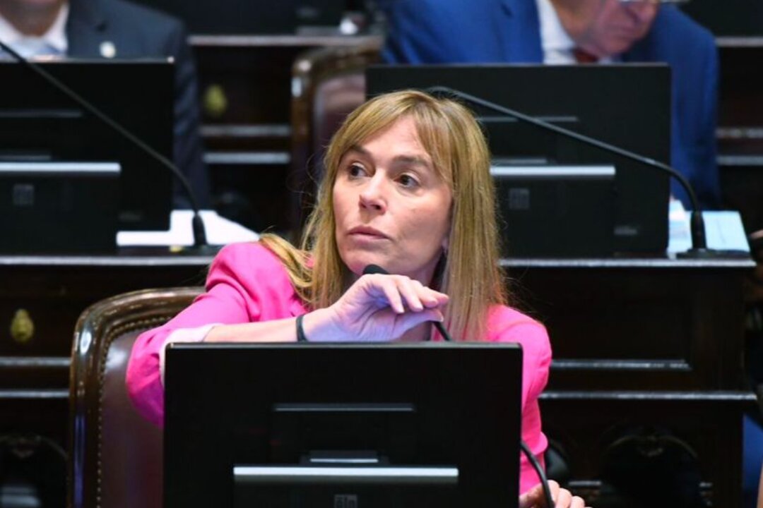 Di Tullio denunció amenazas por la expulsión de Edgardo Kueider