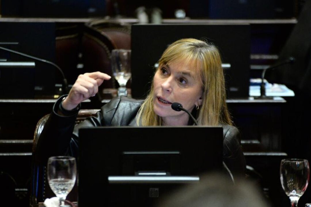 Di Tullio busca frenar la eliminación de los archivos de la Armada