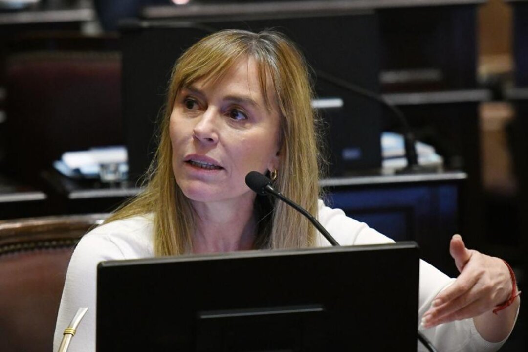 Inundaciones en Bahía Blanca: Di Tullio solicitó crear un fondo especial