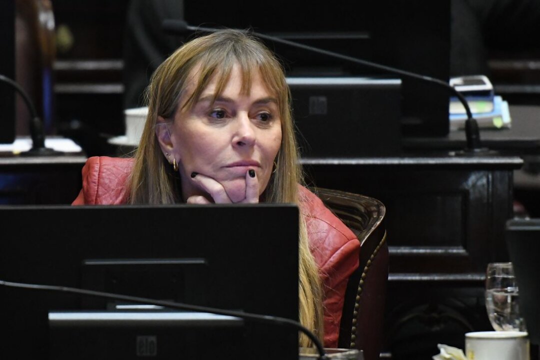 Di Tullio: “No se llama Ficha Limpia, se llama Ley de Proscripción a Cristina Kirchner y es inconstitucional”